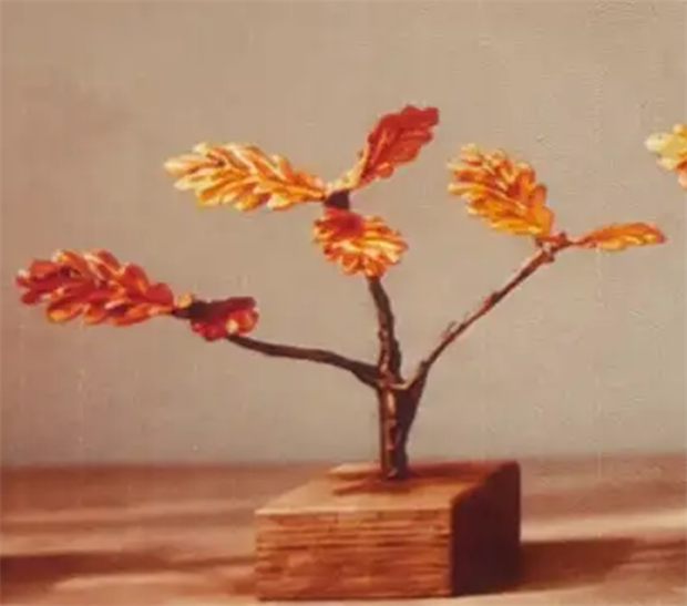 A sapling tree of life
