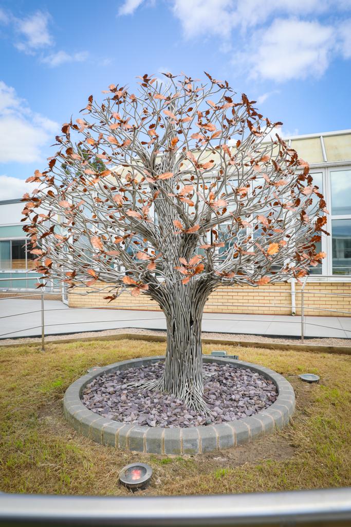 The Tree of Life in daylight, in Charters Garden at Royal Preston Hospital